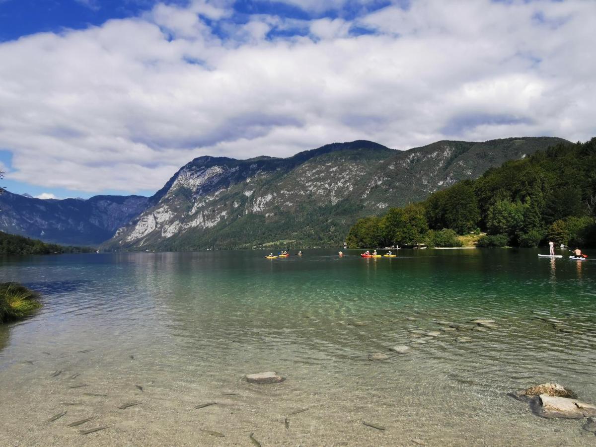 Bohinj, Metka - Vacation House Pri Metki Екстериор снимка